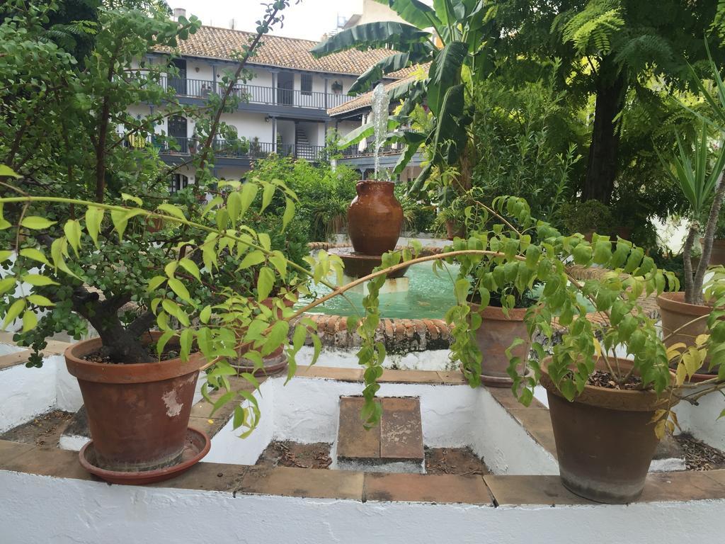 Oasis En El Centro De Sevilla Zewnętrze zdjęcie